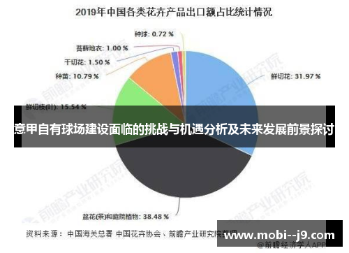 意甲自有球场建设面临的挑战与机遇分析及未来发展前景探讨