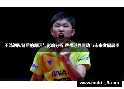 王皓退队背后的原因与影响分析 乒乓球界震动与未来发展展望