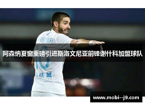 阿森纳夏窗重磅引进斯洛文尼亚前锋谢什科加盟球队 阿森纳夏窗重磅引进斯洛文尼亚前锋谢什科加盟球队