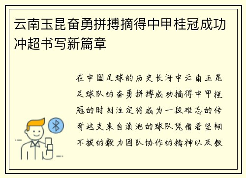 云南玉昆奋勇拼搏摘得中甲桂冠成功冲超书写新篇章